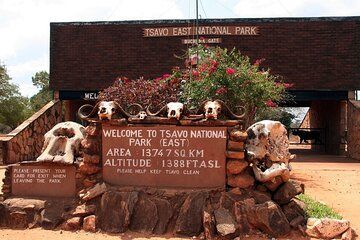 Layover Private Tour To Tsavo East From Mombasa