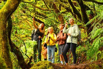 Tenerife: Hiking Tour in Anaga & Enchanted Forest with Pickup