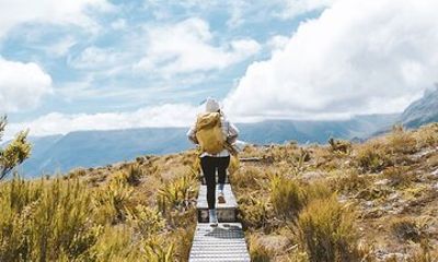 Routeburn Guided Day Hike from Te Anau with Lunch & Transport