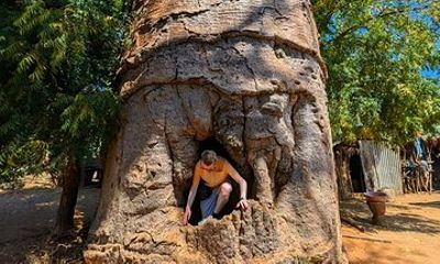 Baobab Tour in Morondava