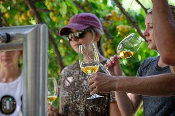 Private Guided Colonia Wine Tour