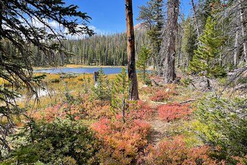 Day Trip Activity at Utah Mountain Backcountry with Box Lunch