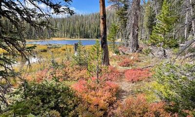 Day Trip Activity at Utah Mountain Backcountry with Box Lunch