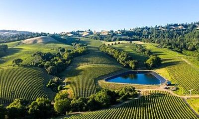 Private Enchanted Napa & Sonoma Wine Tour from Cupertino