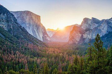 Enchanting small group Yosemite National Park Tour from Cupertino