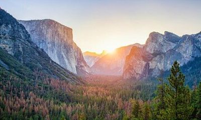 Enchanting small group Yosemite National Park Tour from Cupertino