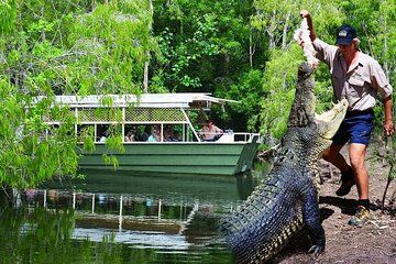 Hartley Crocodile Park with Kuranda, Skyrail Cableway and Train