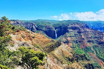 Kauai Island Private Guided Tour-Waimea Canyon from Lihue/Kapaa