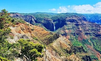 Kauai Island Private Guided Tour-Waimea Canyon from Lihue/Kapaa