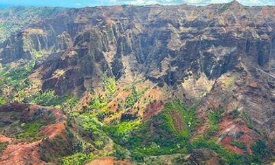 Kauai Island Private Guided Movie Tour from Poipu