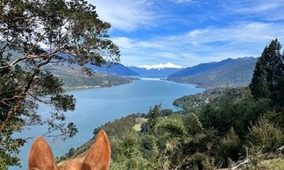 PRIVATE-Esperanza Valley Horse ride.