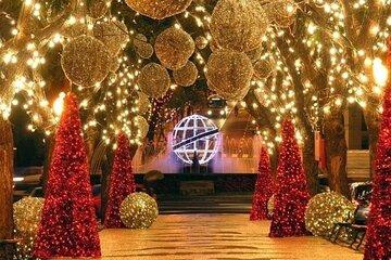 Christmas Lights Tuk Tuk Tour in Funchal Experience by MadTuk