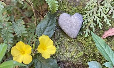 4 Day Yoga Hiking and Sound Healing Retreat in Nepal