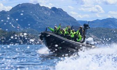 Haugesund RIB Safari Adventure