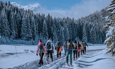 Montenegro Snowshoeing Durmitor