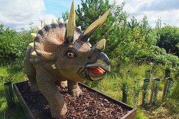 Private 4 Hour Family Fun Shore Excursion in Lerwick