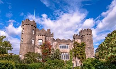 Malahide Castle and Medieval Monastery Private Tour from Dublin
