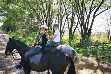 1.5 hr Horseback Riding in Open Door, Luján, Buenos Aires