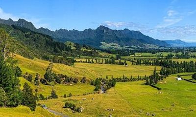 Middle Earth Private Tour from Tauranga Cruise Port. Tickets incl