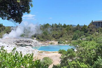Cultural Rotorua Private Tour Tauranga Port. Whakarewarewa Ticket