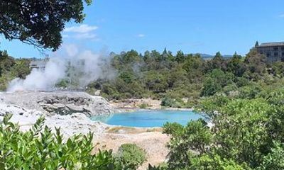 Cultural Rotorua Private Tour Tauranga Port. Whakarewarewa Ticket
