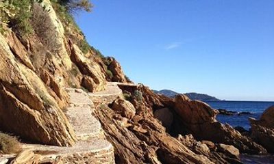 Private Provence Getaway and Wine Tasting from Toulon cruise port