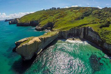 Catlins Cruiser Private Tour from Dunedin Cruise Port