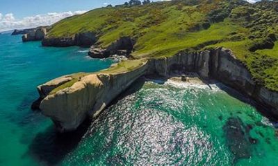 Catlins Cruiser Private Tour from Dunedin Cruise Port
