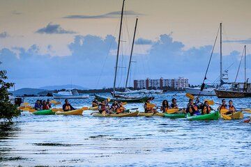 Laguna Grande Bio Bay Experience Pickup Transportation