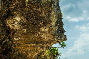 Zanzibar Tour in Secret Beach, Kuza Cave and Jozani with transfer