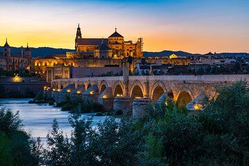 Cordoba private full daytrip from Marbella