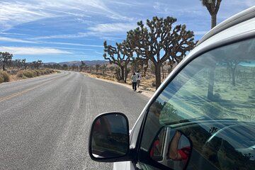 Private Sightseeing Adventure Tour of Joshua Tree National Park