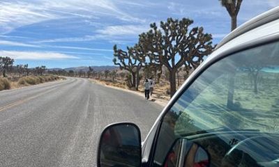 Private Sightseeing Adventure Tour of Joshua Tree National Park