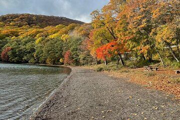 Nikko Sightseeing Private 10 Hours Tour English Speaking Driver