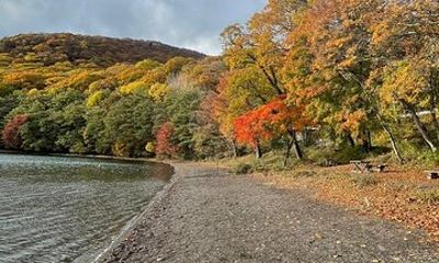 Nikko Sightseeing Private 10 Hours Tour English Speaking Driver