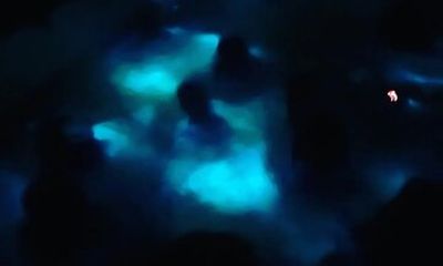 Bioluminiscense Night Tour