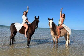 Horse Riding 3hr Beach, Desert & Swim with Horse - Hurghada