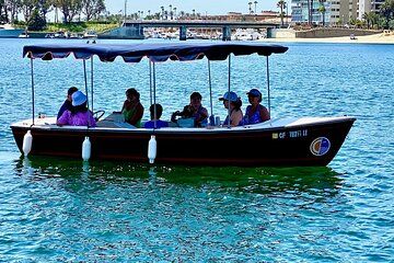 12 Person Electric Boat
