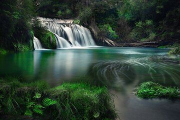 Te Mata Explorer Private Tour from Napier Cruise Port