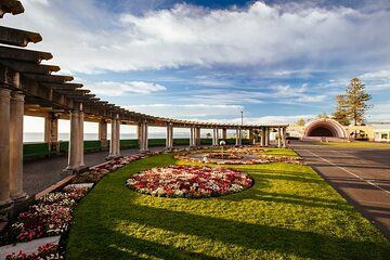 Art Deco Walking Private Tour from Napier Cruise Port
