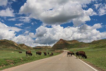 Theodore Roosevelt National Park Self-Guided Audio Tour