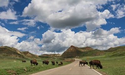 Theodore Roosevelt National Park Self-Guided Audio Tour