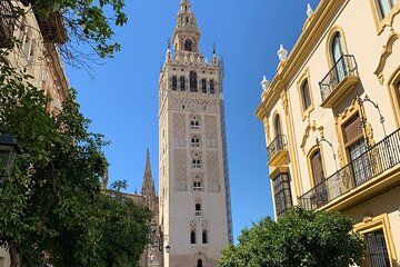 Guided tour to Seville from the Costa del Sol
