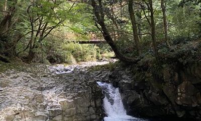 Kawazu Seven Falls Guided Tour