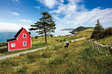 5 Day Eastern Newfoundland Tour