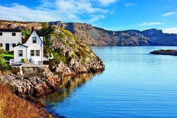 Conception Bay Tour Experience