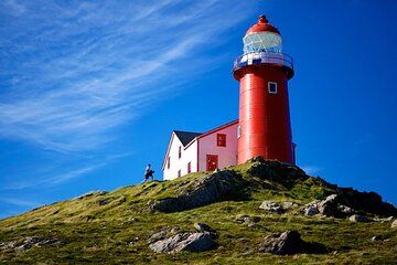 Irish Loop to Ferryland Tour