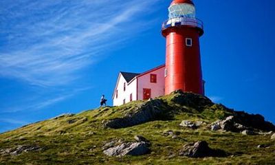 Irish Loop to Ferryland Tour