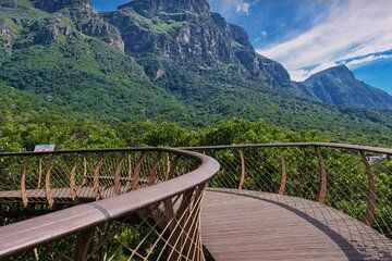 Table Mountain Cable Car and Kirstenbosch Garden Tour