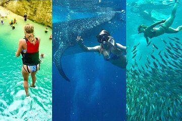 Oslob WhaleSharks, Sardines & Canyoneering From Dumaguete/Dauin